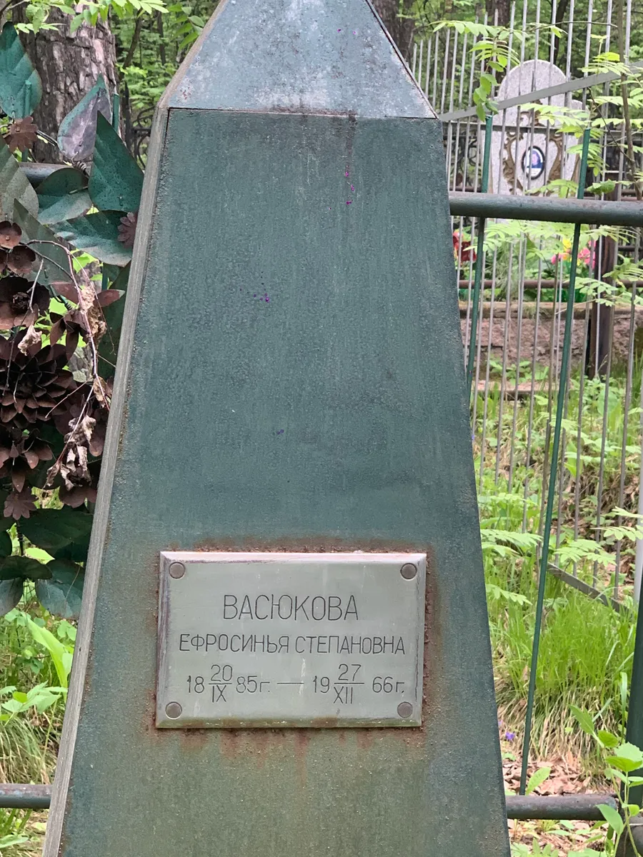 Васюкова Ефросинья Степановна