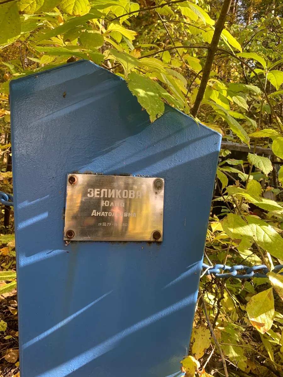 Великова Юлия Анатольевна