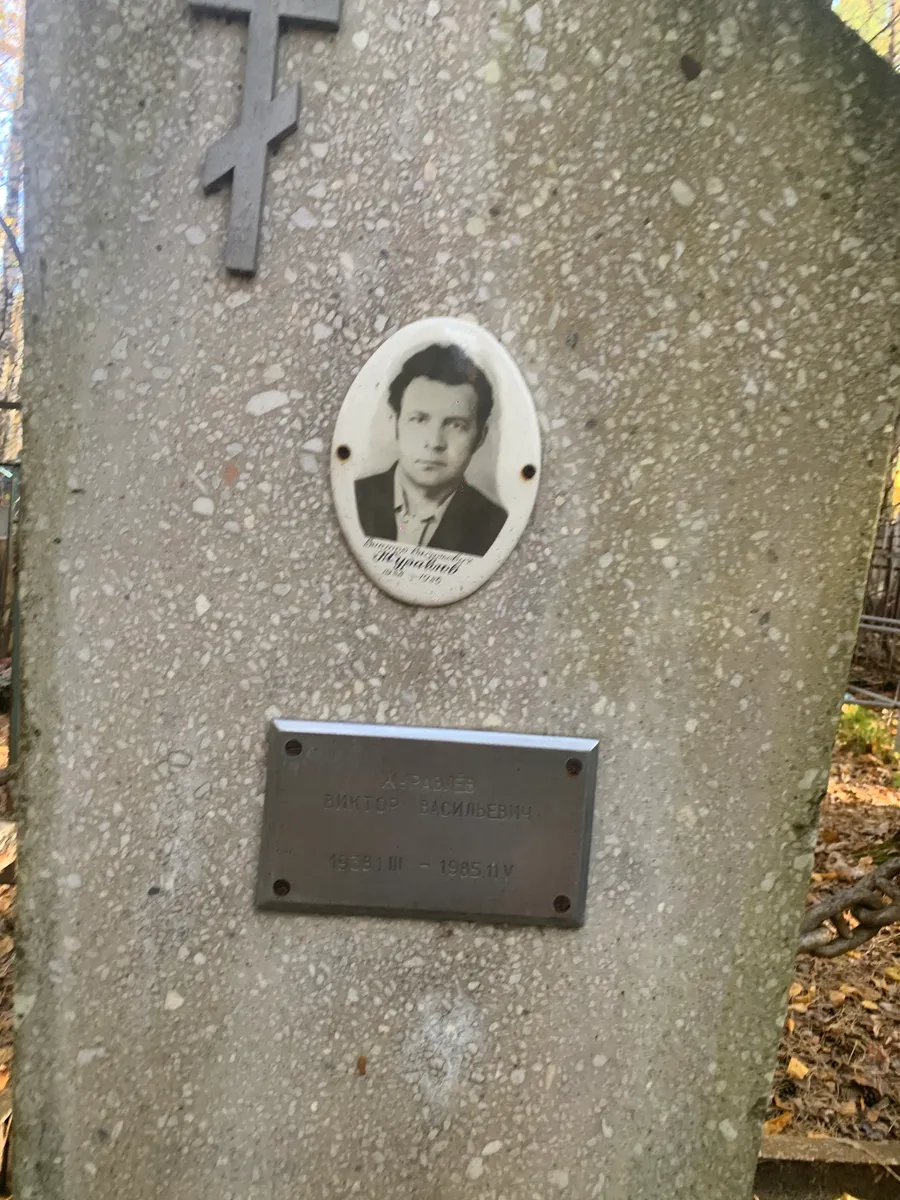 Викторов Васильевич