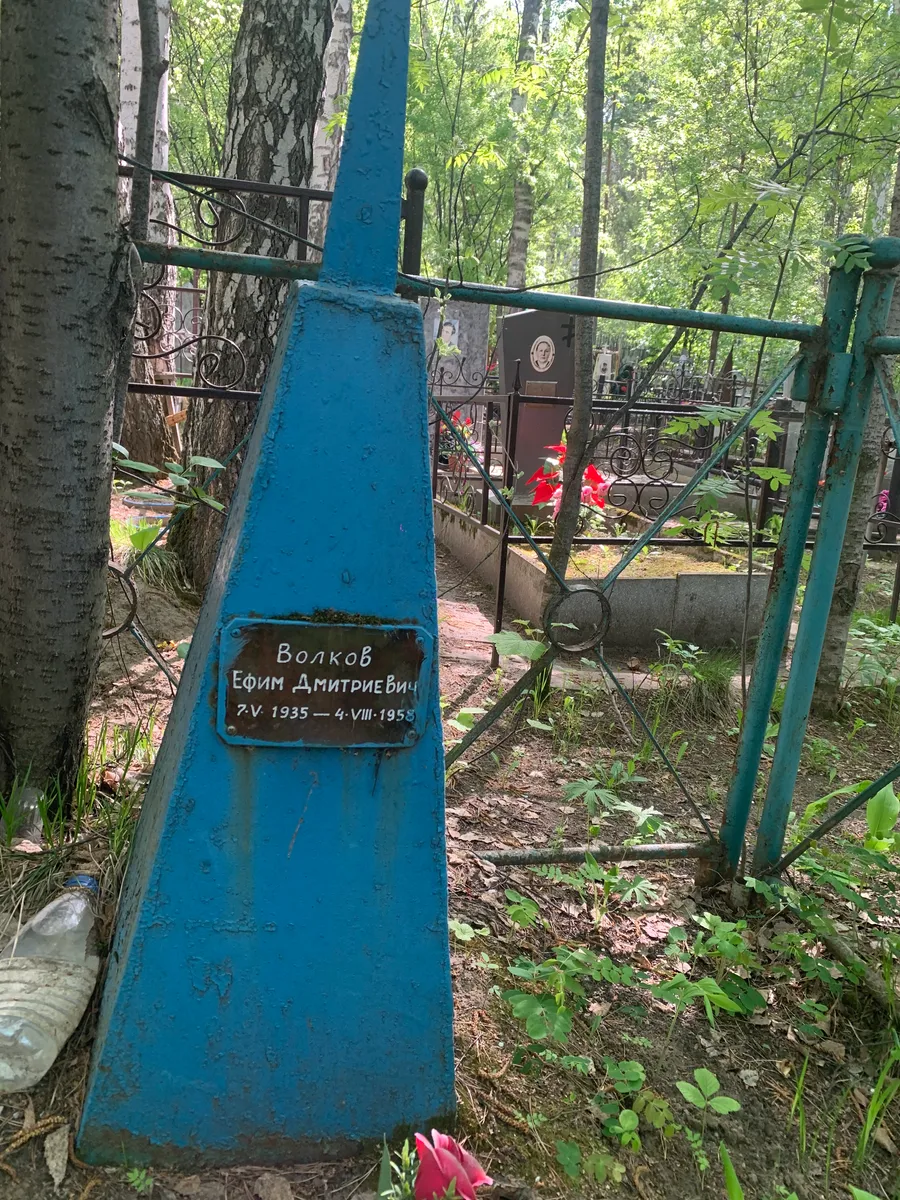 Волков Ефим Дмитриевич