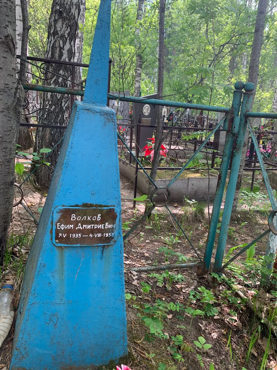 Волков Ефим Дмитриевич