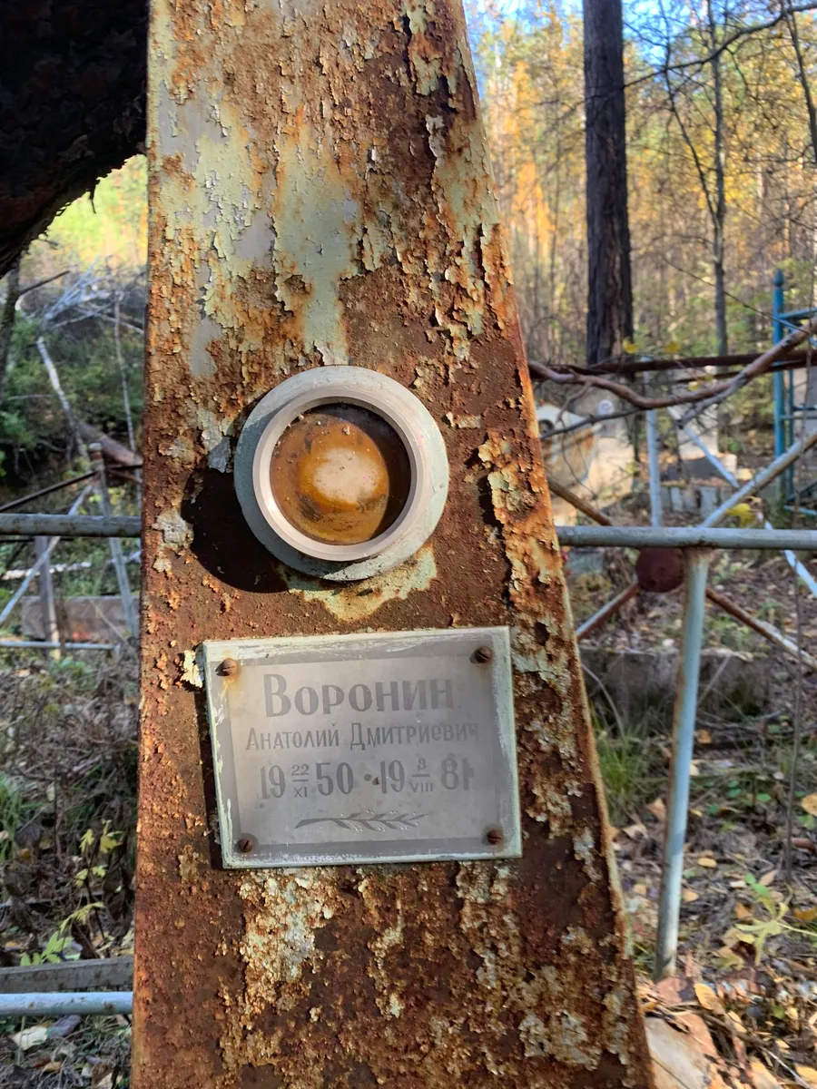 Воронин Анатолий Дмитриевич