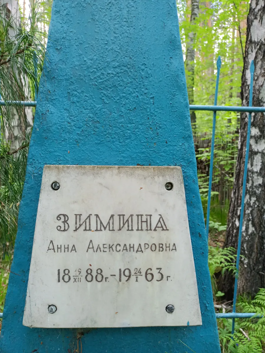 Зиммина Анна Александровна